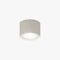 Muto Modern Round Flush Mount Ceiling Light, Wood/Black, Living Room