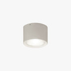 Muto Modern Round Flush Mount Ceiling Light, Wood/Black, Living Room