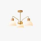 Arisha Rustic Chandelier /Wood/Glass Living Room/Dining Room