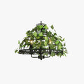 Nest Industrial LED Pendant Light Black Green Living Room