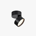 Arisha Flush Mount Ceiling Light Cylindrical Modern Hallway