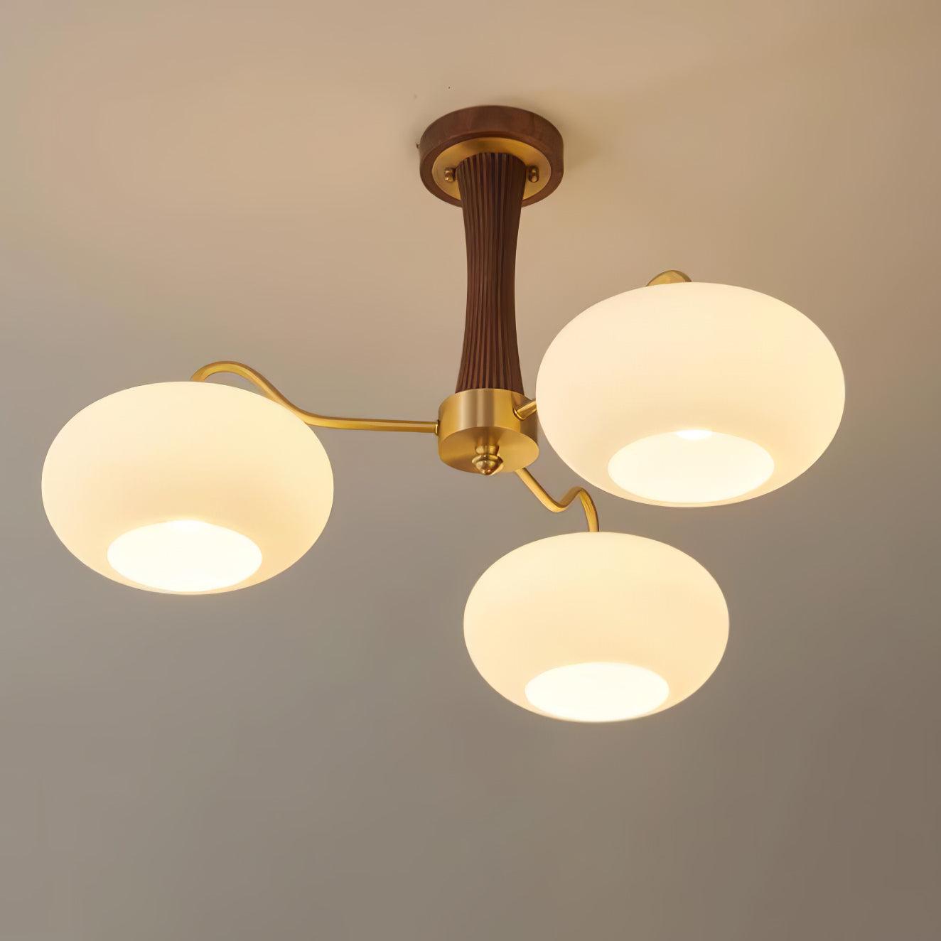 Valentina Brass Wooden  Glass Persimmon Chandelier - image 14