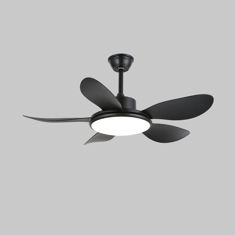 Elano Wood Ceiling Fan Light