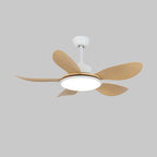 Elano Wood Ceiling Fan Light