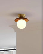 Ceiling Light Globe Opal Glass Modern Brass Walnut Accent Flush Mount