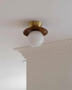 Ceiling Light Globe Opal Glass Modern Brass Walnut Accent Flush Mount