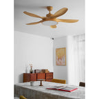 Fusion Premium Natural Acrylic Ceiling Fan Light