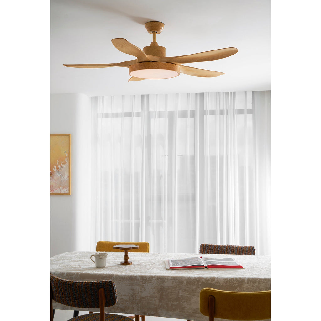 Fusion Premium Natural Acrylic Ceiling Fan Light