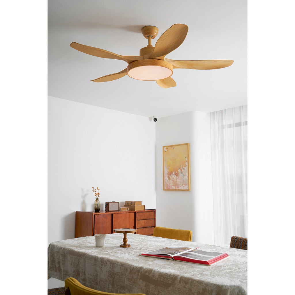 Fusion Premium Natural Acrylic Ceiling Fan Light