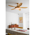 Fusion Premium Natural Acrylic Ceiling Fan Light