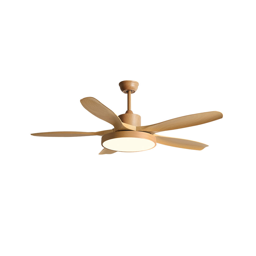 Fusion Premium Natural Acrylic Ceiling Fan Light