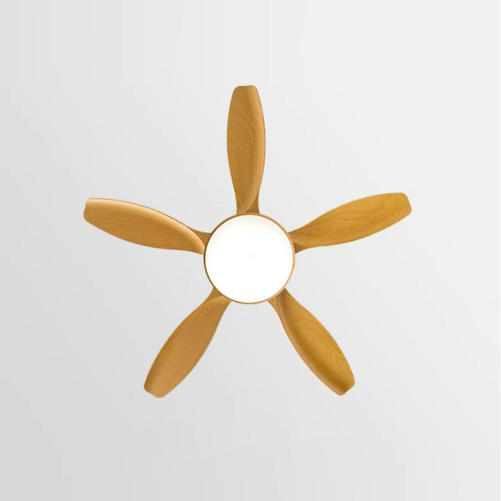 Fusion Premium Natural Acrylic Ceiling Fan Light