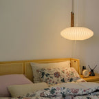 Evphael Premium Nordic Art Bubble Wall Lamp