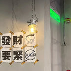 Celest Vintage Industrial Cage Glass Pendant Light