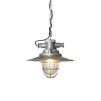 Celest Vintage Industrial Cage Glass Pendant Light