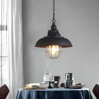 Celest Vintage Industrial Cage Glass Pendant Light