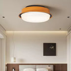 Caelan Modern Metal Ceiling Light
