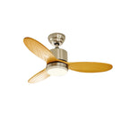 Essen Modern Minimalist Natural Wooden Acrylic Ceiling Fan Light