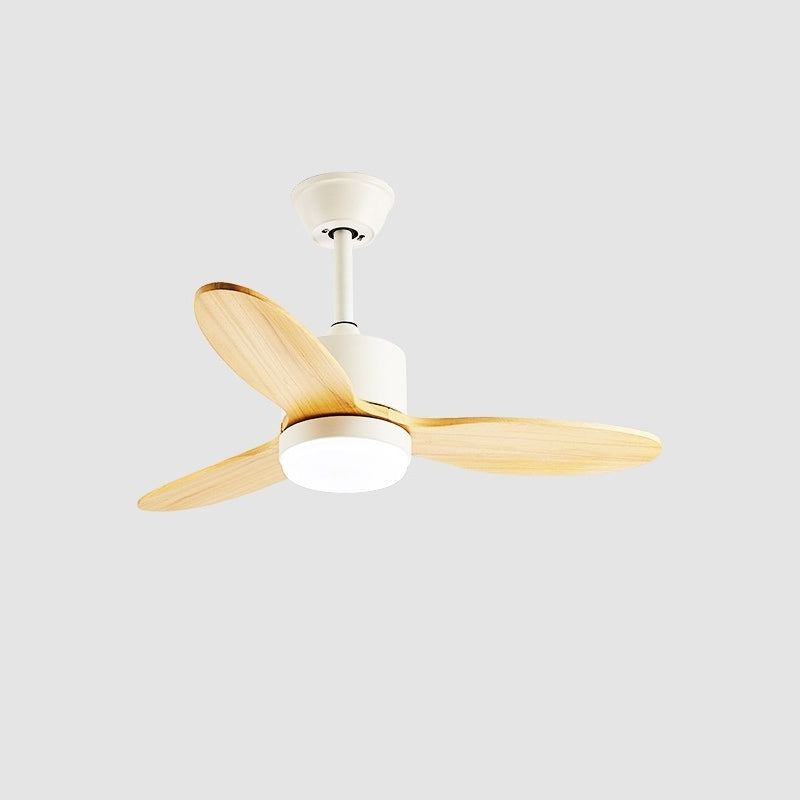 Essen Modern Minimalist Natural Wooden Acrylic Ceiling Fan Light