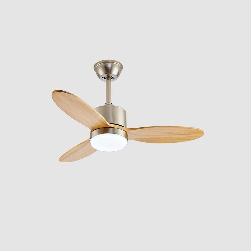 Essen Modern Minimalist Natural Wooden Acrylic Ceiling Fan Light