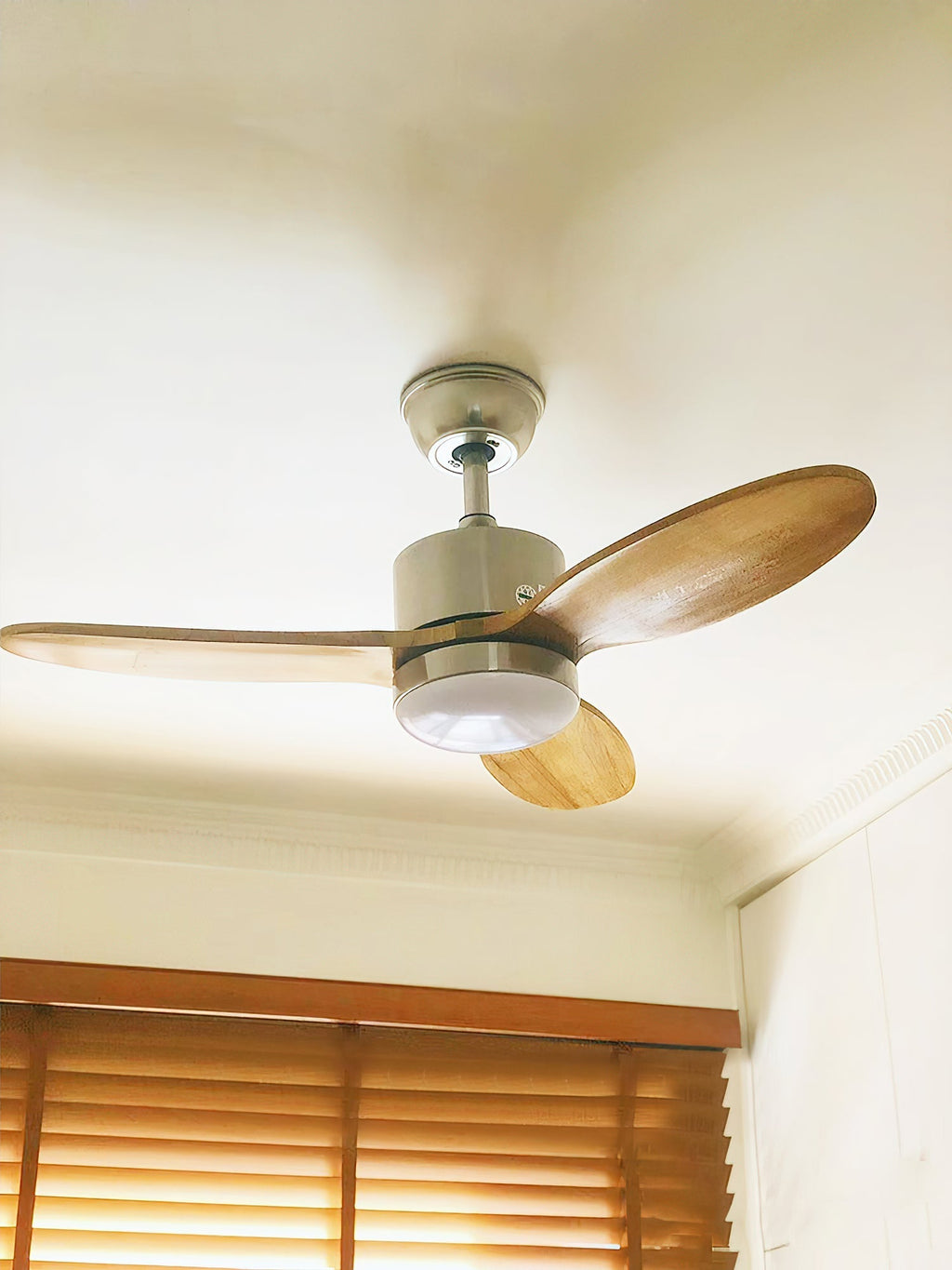 Essen Modern Minimalist Natural Wooden Acrylic Ceiling Fan Light