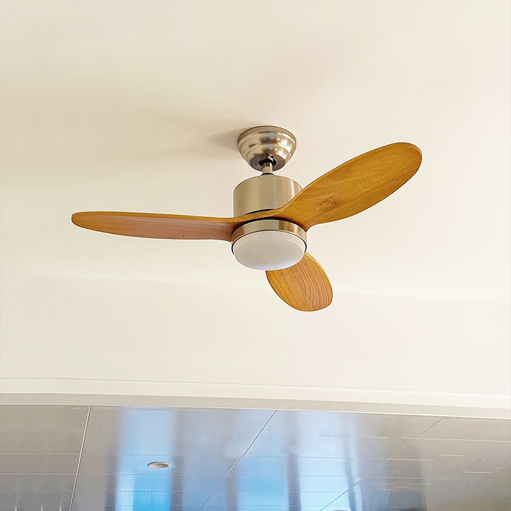 Essen Modern Minimalist Natural Wooden Acrylic Ceiling Fan Light