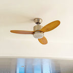 Essen Modern Minimalist Natural Wooden Acrylic Ceiling Fan Light