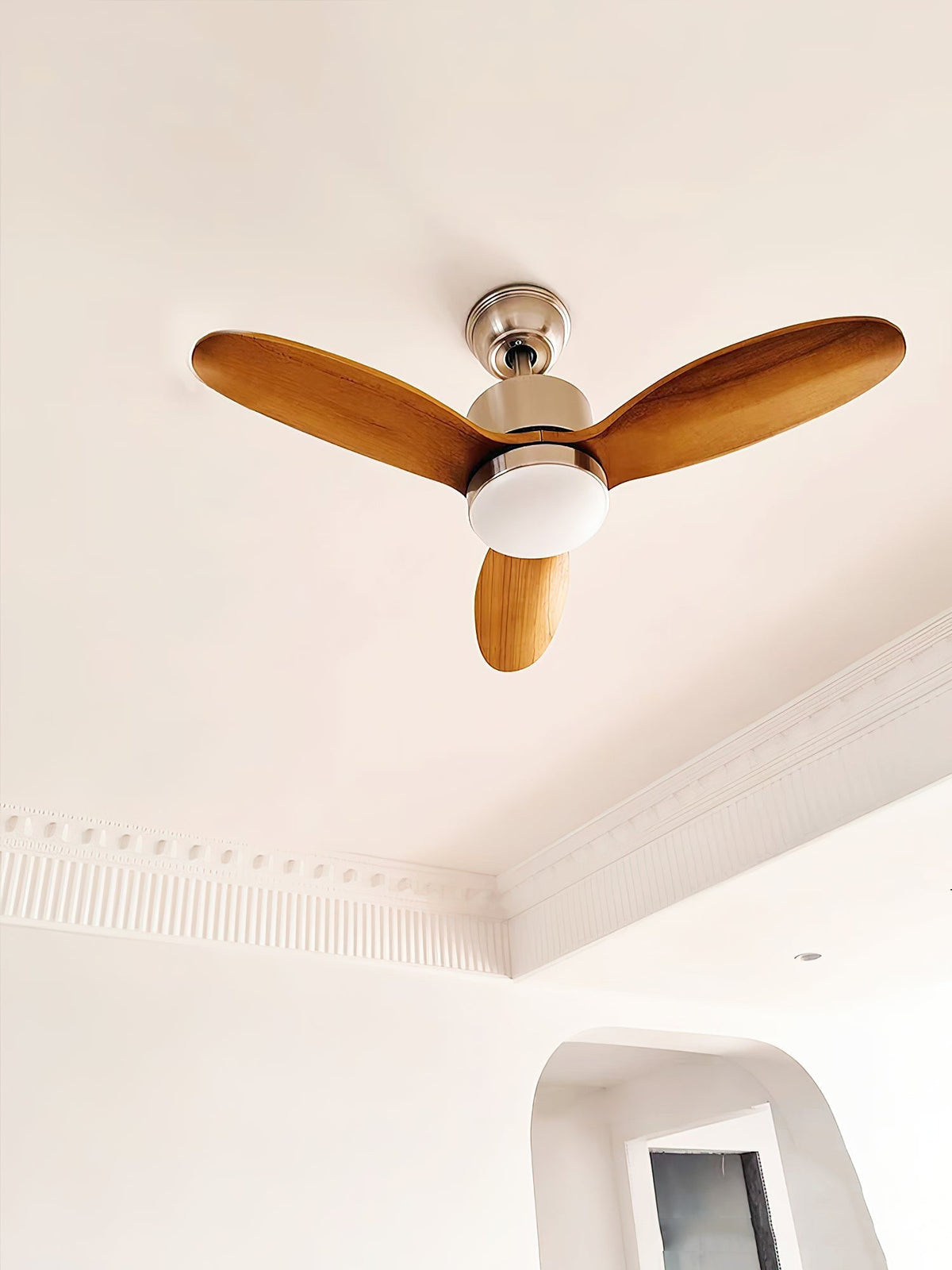 Essen Modern Minimalist Natural Wooden Acrylic Ceiling Fan Light