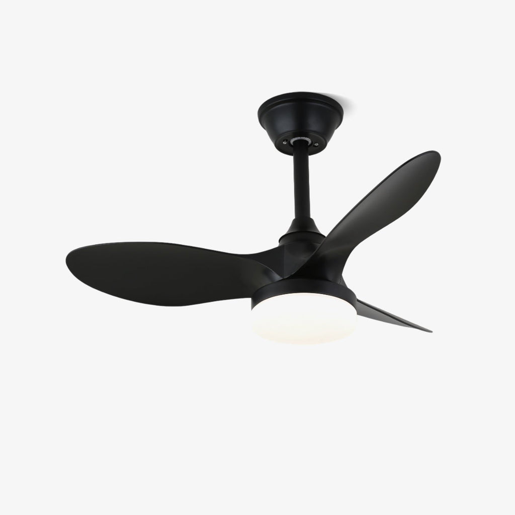 Aelric Modern Ceiling Fan Light