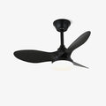 Aelric Modern Ceiling Fan Light