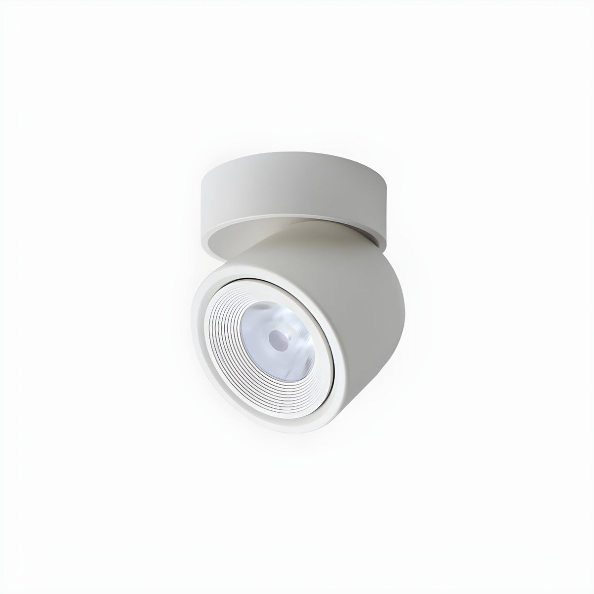 Clara Modern Minimalist Rotating Surface Downlight Ceiling lamp