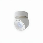 Clara Modern Minimalist Rotating Surface Downlight Ceiling lamp