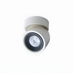 Clara Modern Minimalist Rotating Surface Downlight Ceiling lamp