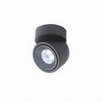 Clara Modern Minimalist Rotating Surface Downlight Ceiling lamp