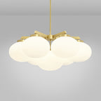 Edge Premium Elegance Brass Glass Chandelier
