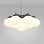 Edge Premium Elegance Brass Glass Chandelier