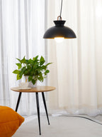 Lumora Minimalist Pendant Light