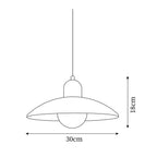 Norrin  Dome Pendant Light