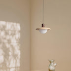 Norrin  Dome Pendant Light