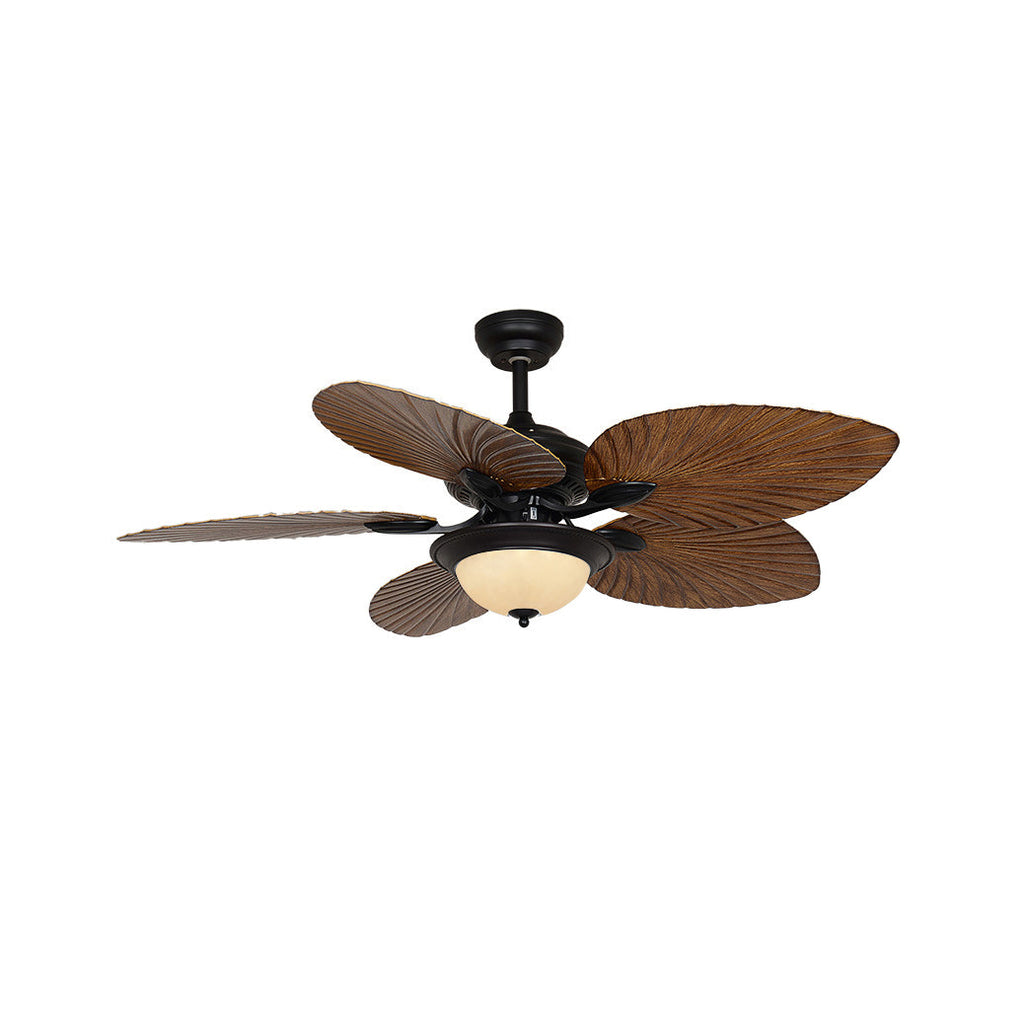 Yearn Natural Classic Walnut Acrylic Ceiling Fan Light