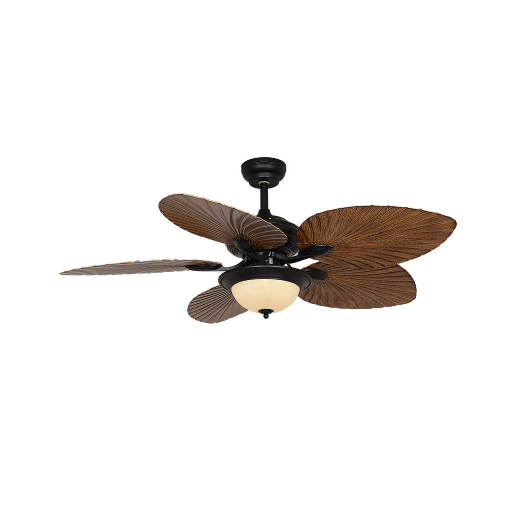 Yearn Natural Classic Walnut Acrylic Ceiling Fan Light