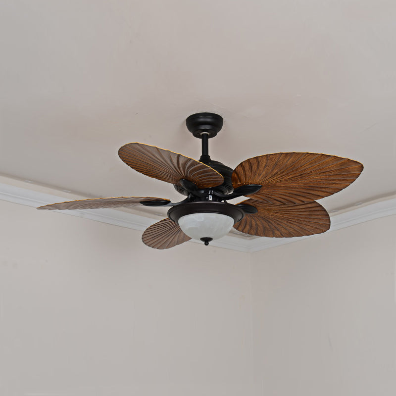 Yearn Natural Classic Walnut Acrylic Ceiling Fan Light