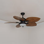 Yearn Natural Classic Walnut Acrylic Ceiling Fan Light