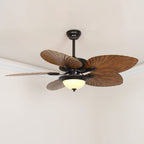 Yearn Natural Classic Walnut Acrylic Ceiling Fan Light