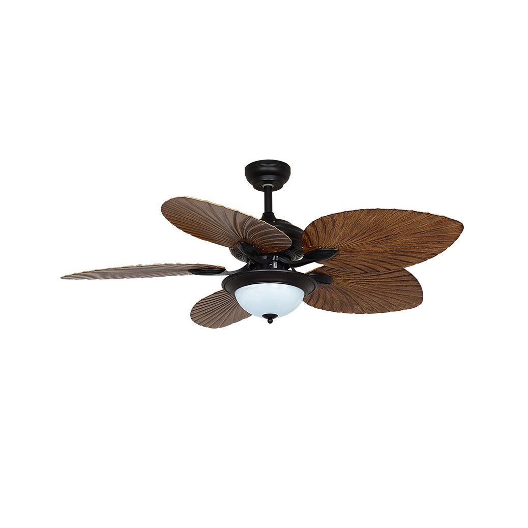 Yearn Natural Classic Walnut Acrylic Ceiling Fan Light