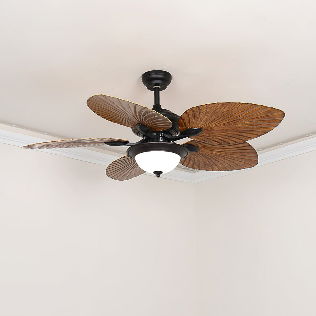 Yearn Natural Classic Walnut Acrylic Ceiling Fan Light
