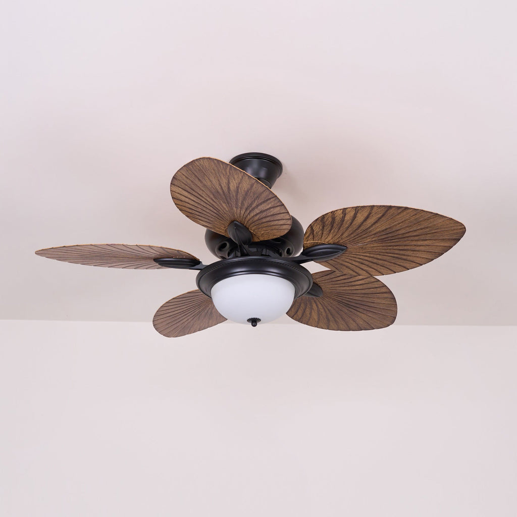 Yearn Natural Classic Walnut Acrylic Ceiling Fan Light