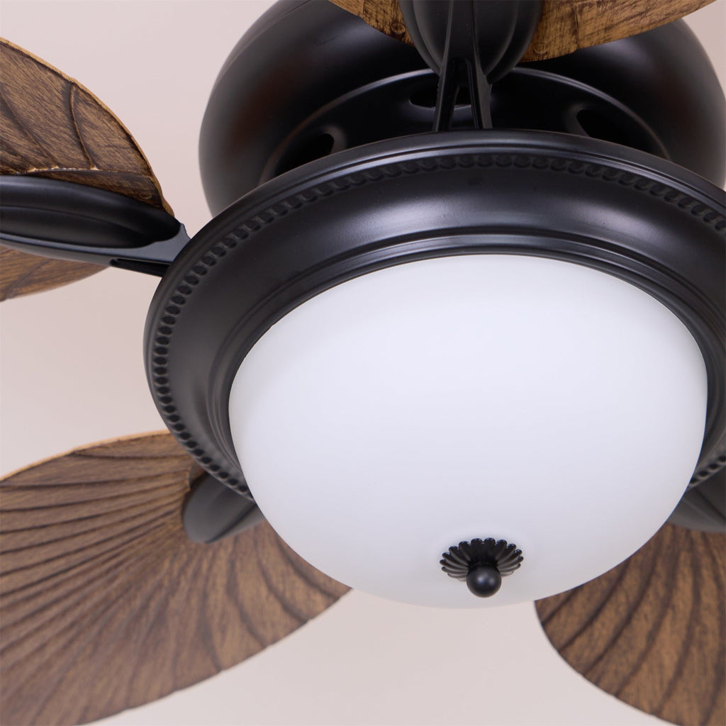 Yearn Natural Classic Walnut Acrylic Ceiling Fan Light
