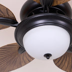 Yearn Natural Classic Walnut Acrylic Ceiling Fan Light