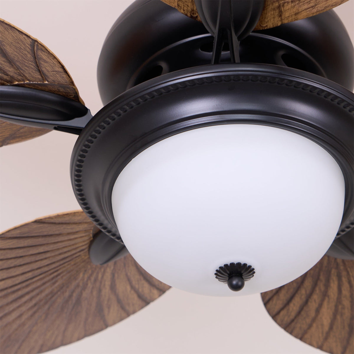 Yearn Natural Classic Walnut Acrylic Ceiling Fan Light